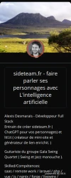 litl.it minisite pour alexisdesmarais